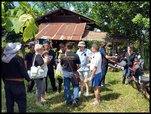 A group eat-in of Star fruit on the way back to the Obajors office.