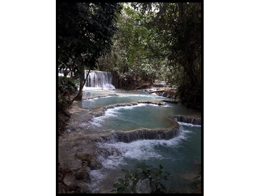 A farewell shot of the group visit to Kuang Si falls