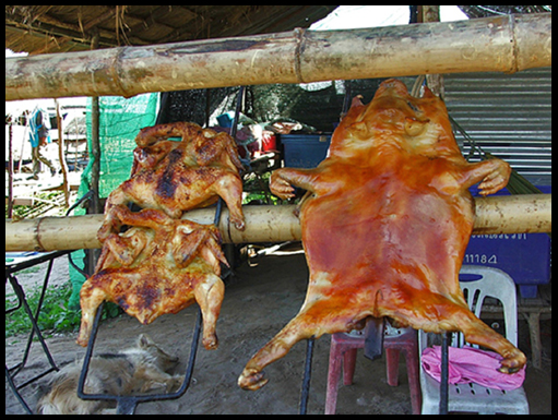 The suckling pig of Kaeng Kabao
