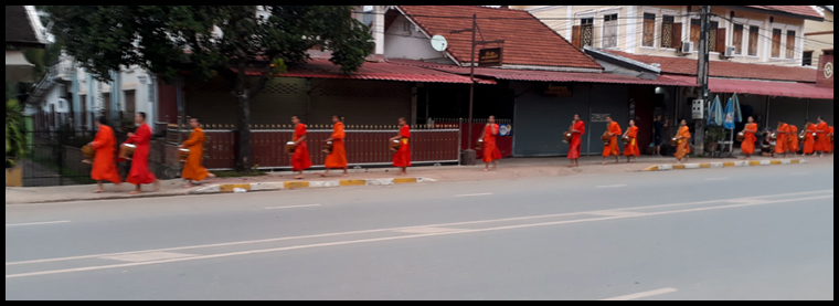 A long line of Monks walk the morning Saibaht