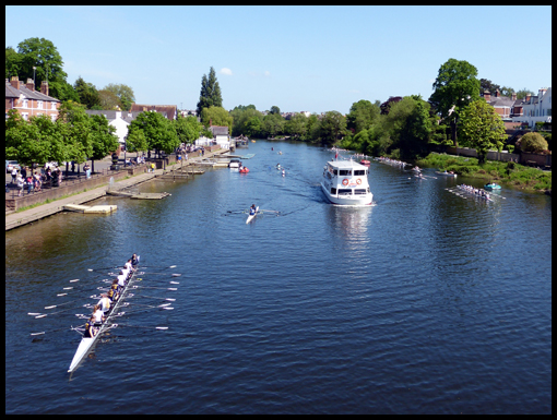 The river Dee at Chesterand some of it's inhabitants.